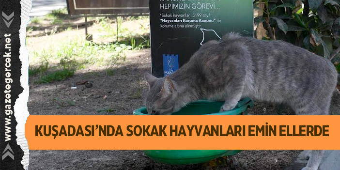 KUŞADASI’NDA SOKAK HAYVANLARI EMİN ELLERDE