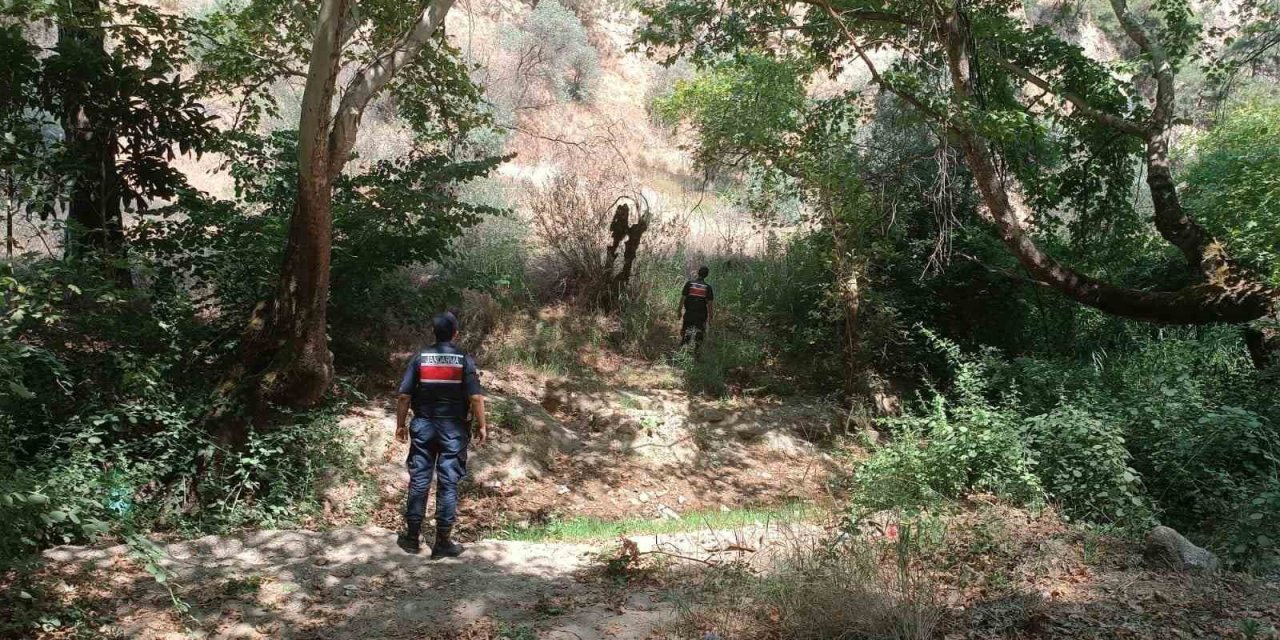 Ormanlık alanda mangal yakan 31 kişi cezadan kaçamadı