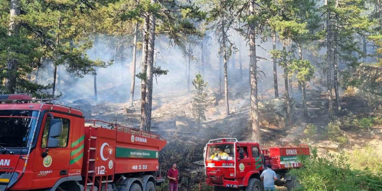 Bozdoğan Kaymakamlığı’ndan orman yangını uyarısı