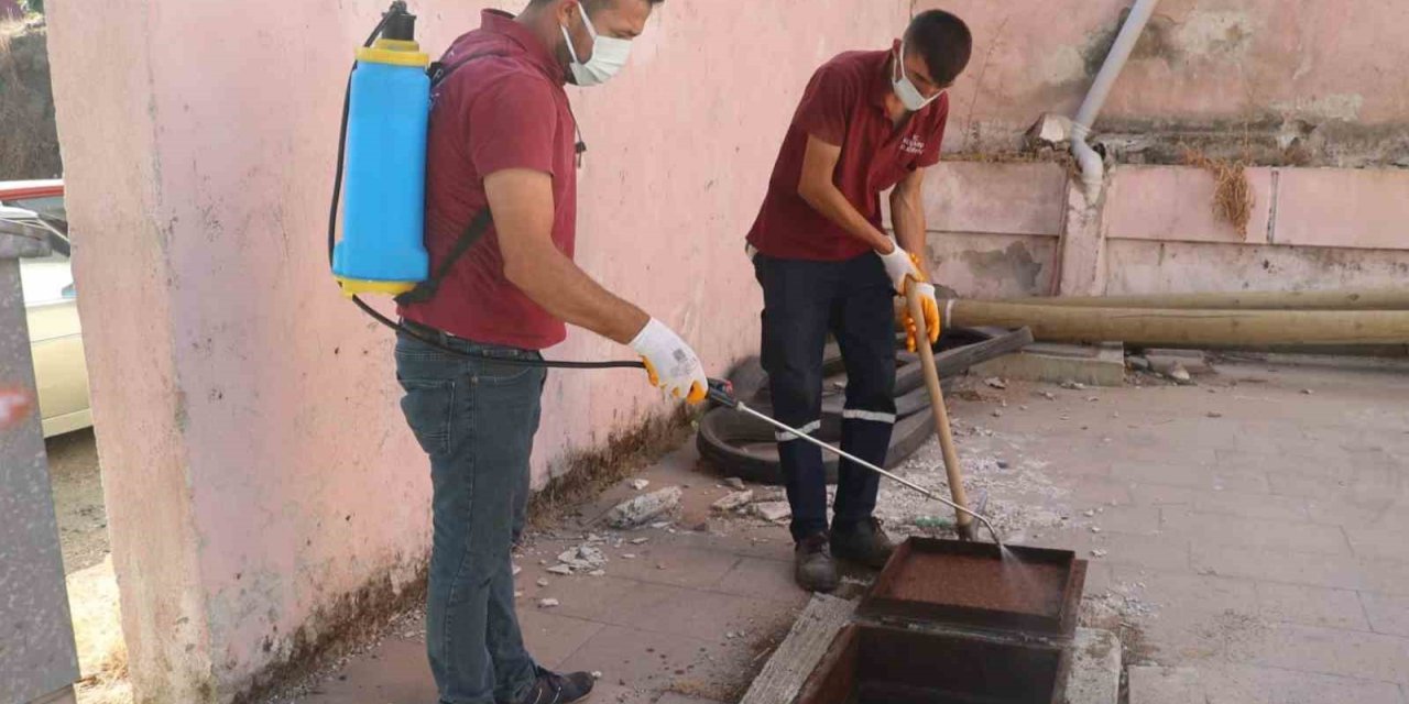 Koçarlı Belediyesi, haşereyle mücadele çalışmalarını sürdürüyor