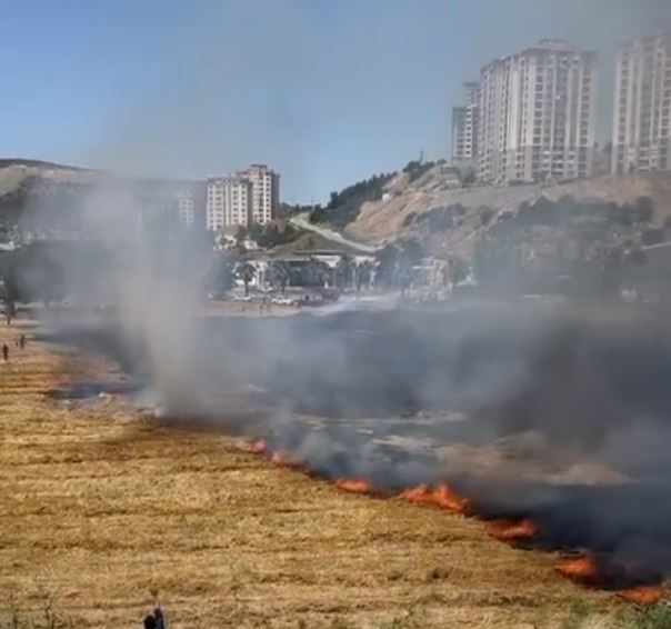 Kuşadası’ndaki kuru ot yangını itfaiyenin hızlı müdahalesiyle söndürüldü