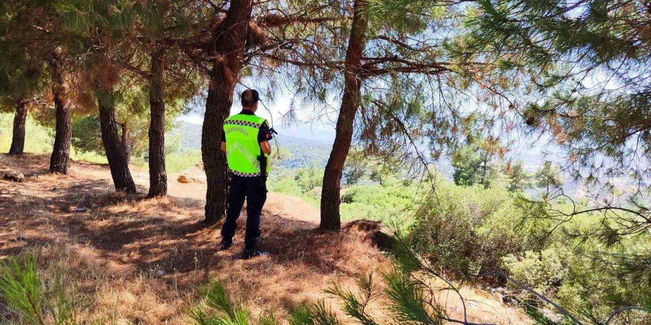 Jandarma ekipleri yasak bölgeye giren şahıslara cezai işlem uyguladı