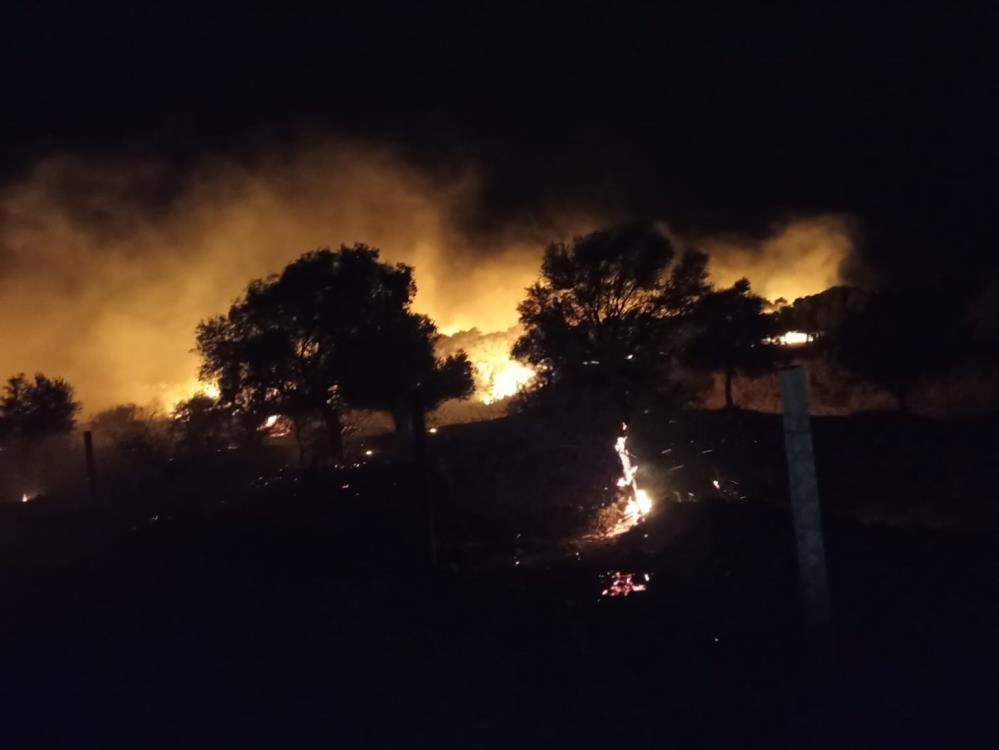 Sazlı’daki yangının şüphelileri jandarmadan kaçamadı