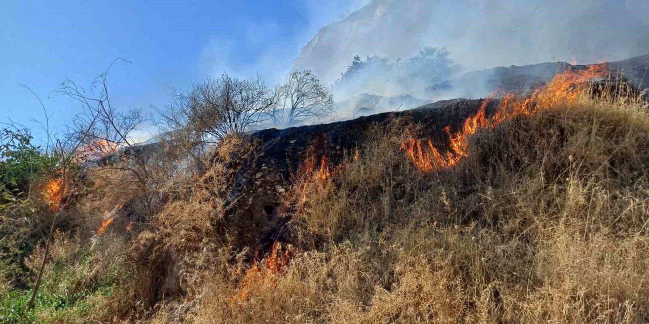 Aytepe mesire alanında yangın