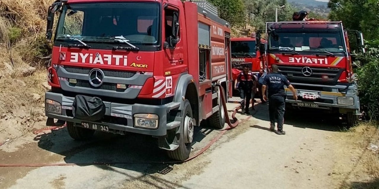 Odunluk yangını korkuttu