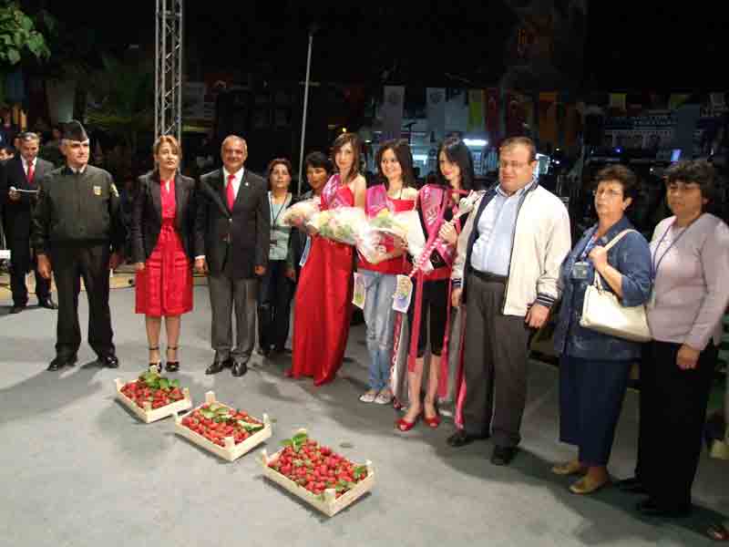 Atça Çilek Festivaliyle coştu