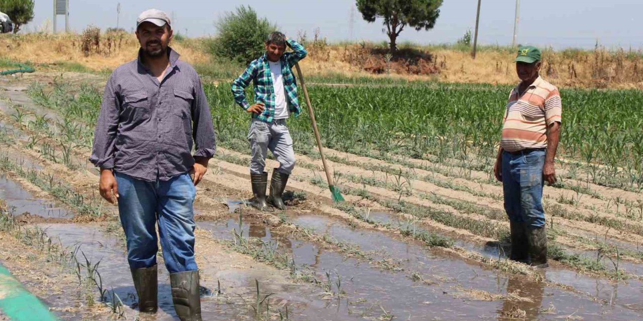 Gençlerin masa başı iş sevdası Türk tarımına alarm verdiriyor