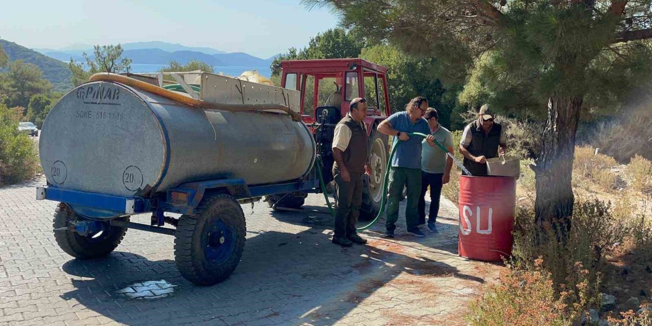 Milli Park’ta orman yangınına karşı bidonlu önlem