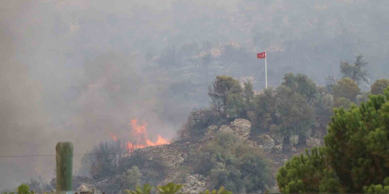 Dağ taş yandı, Türk bayrağı alevlerden korundu