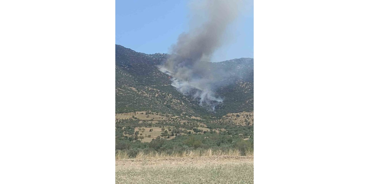 Nazilli’de makilik yangını