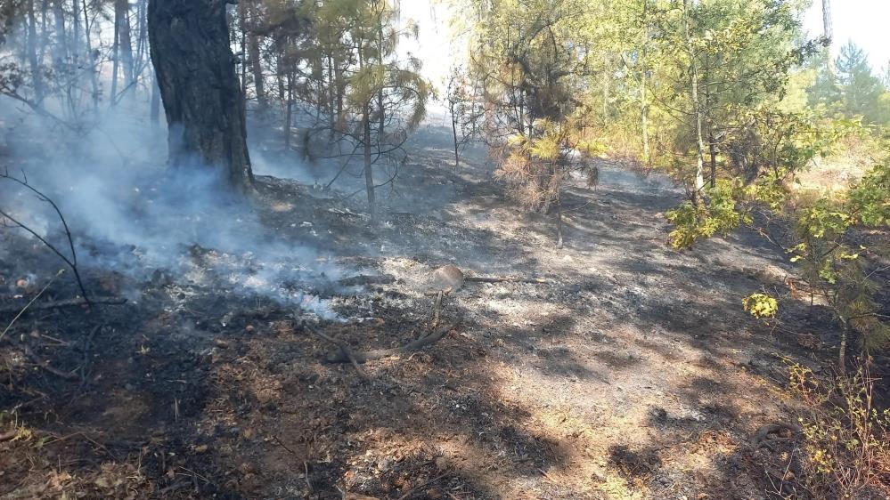 Aydın Kuyucak’taki orman yangını kontrol altına alındı