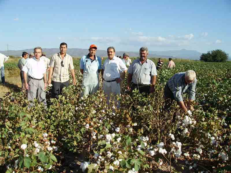 Sökeli çiftçilere 361 bin YTL kuraklık zararı ödenecek