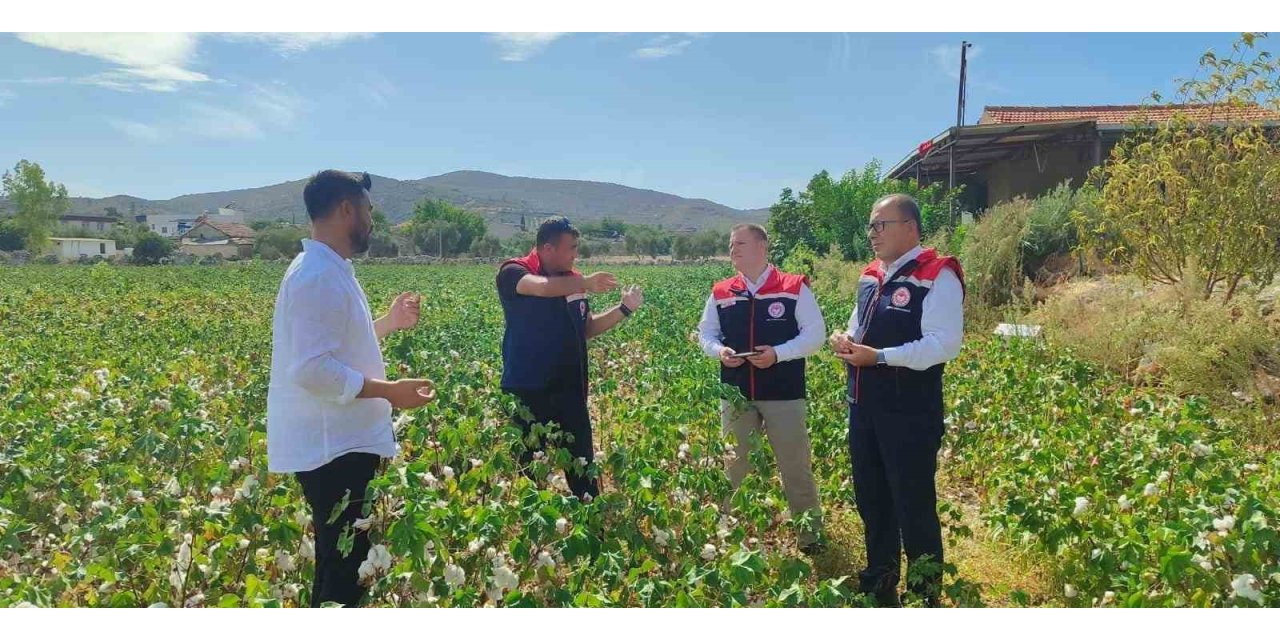 Didim’de üretim alanları kontrol edildi