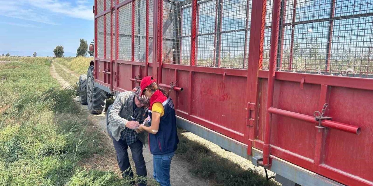 Söke’de pamuk hasat makineleri denetlendi