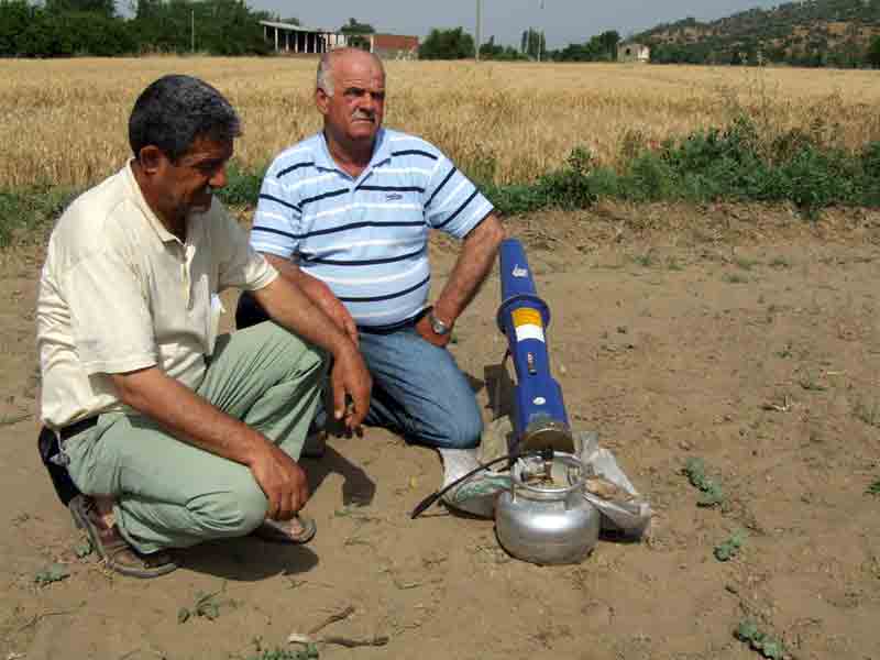 “BOM” dahi domuzları korkutmuyor!
