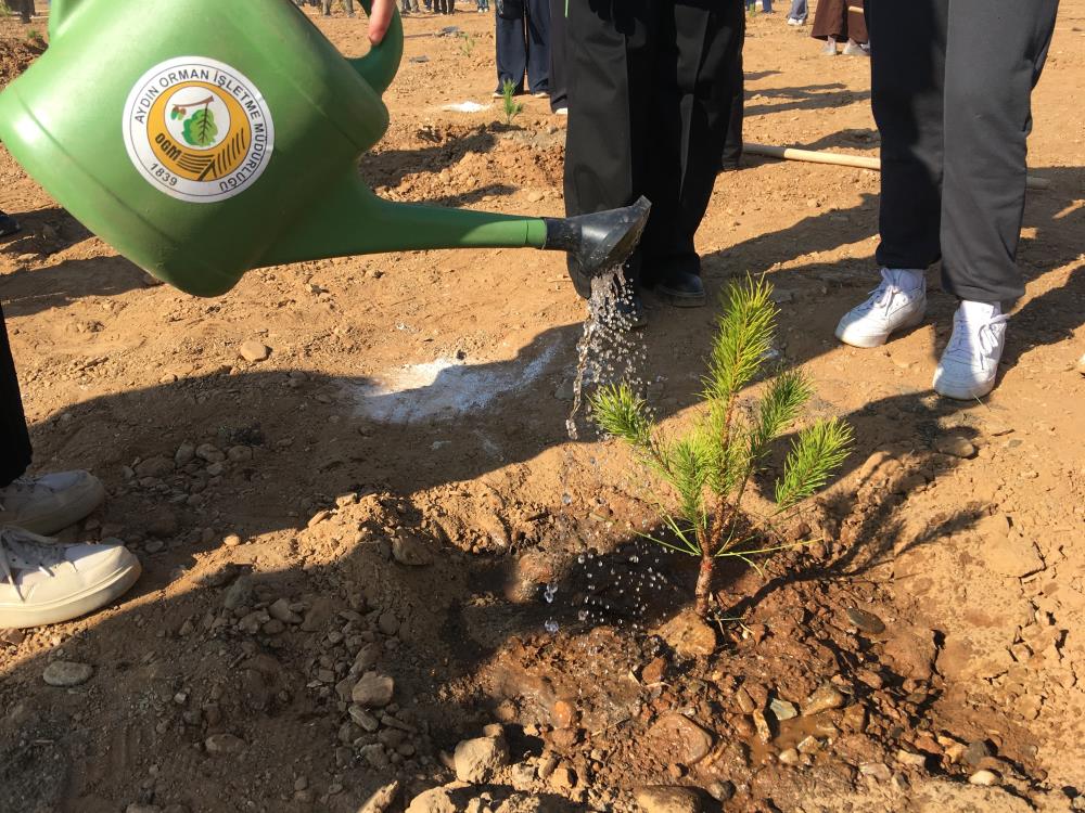 Aydın’da fidanlar toprakla buluştu