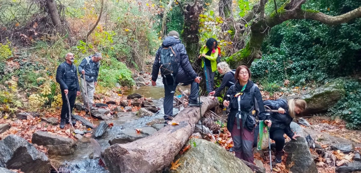 Doğaseverler özgün klima özelliği ile bilinen Koçak Kanyonu’na dikkat çektiler