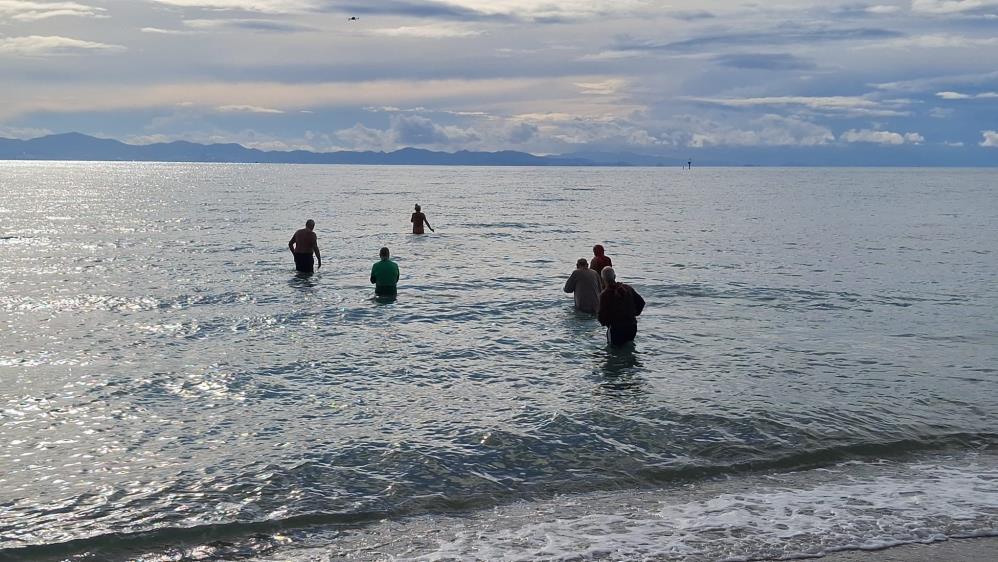 Didim’de yaşayan yabancılar sokak hayvanlarına yardım için denize girdiler