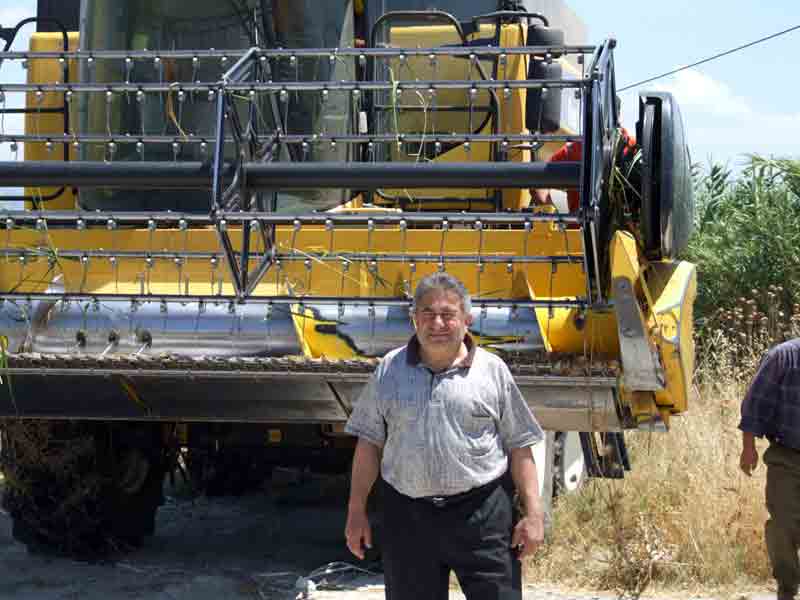 Yenipazar Ovası’nda zorunlu buğday ekimi rekor getirdi