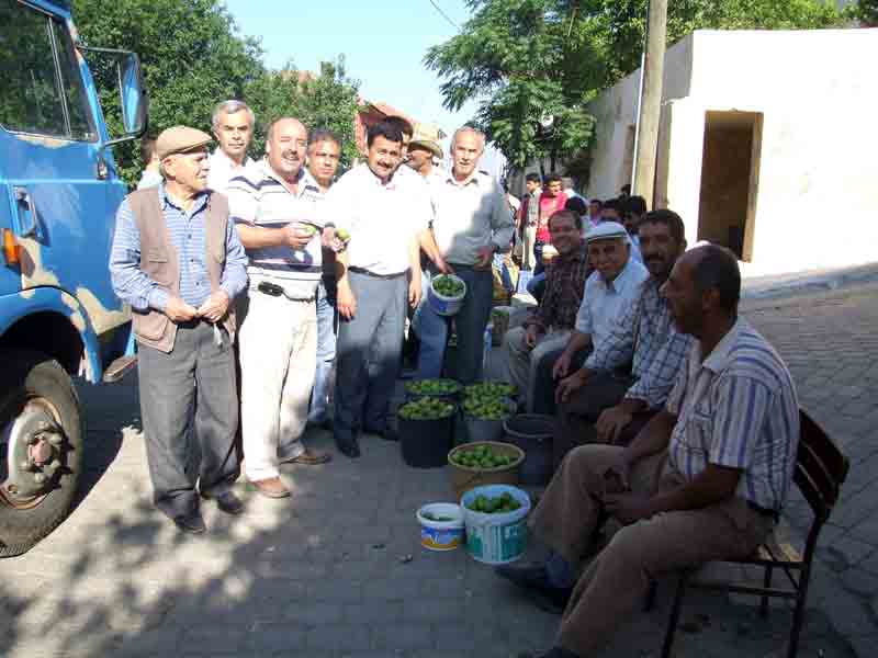 Aydın’da erkek sinek pazarı çıldırdı