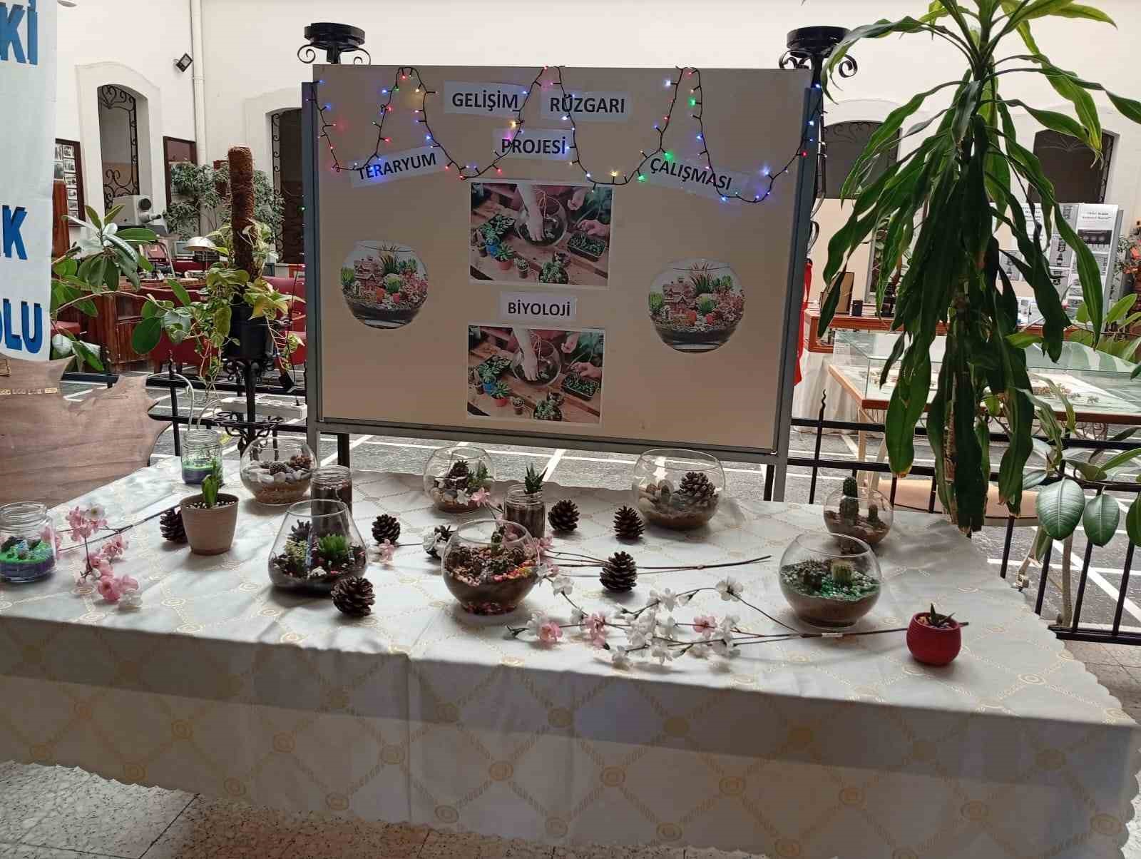 Liseli gençler, okulun ekosistemini değiştirdi