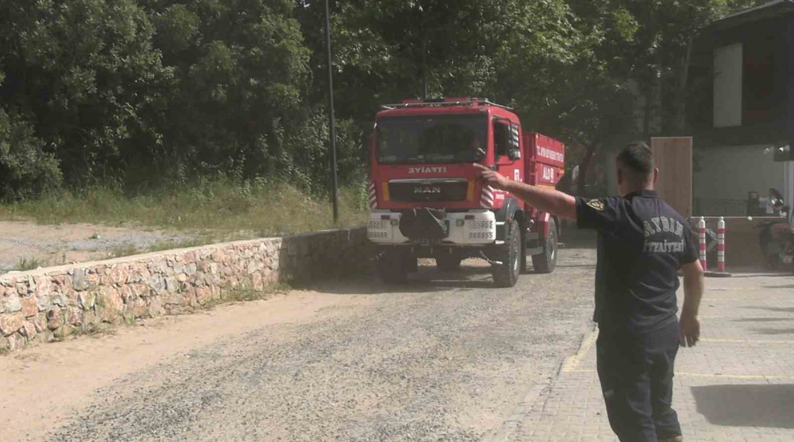 Aydın’daki yangın kontrol altına alındı