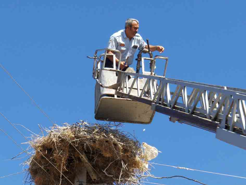 İtfaiyeden ‘Leylek Kurtarma Operasyonu’