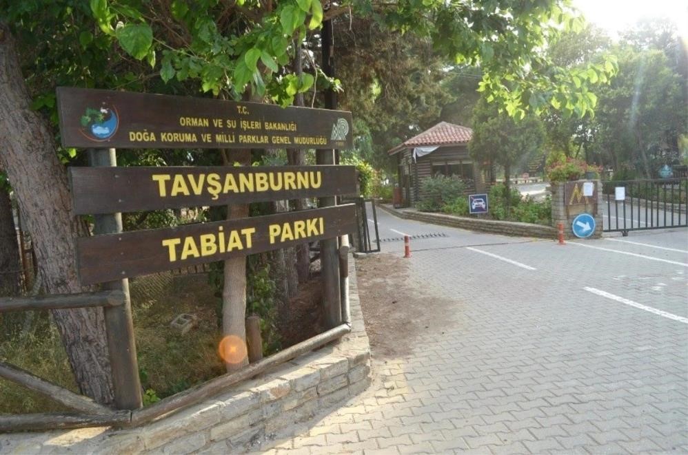 Dilek Yarımadası ve Tavşanburnu tatilcilerin akınına uğradı