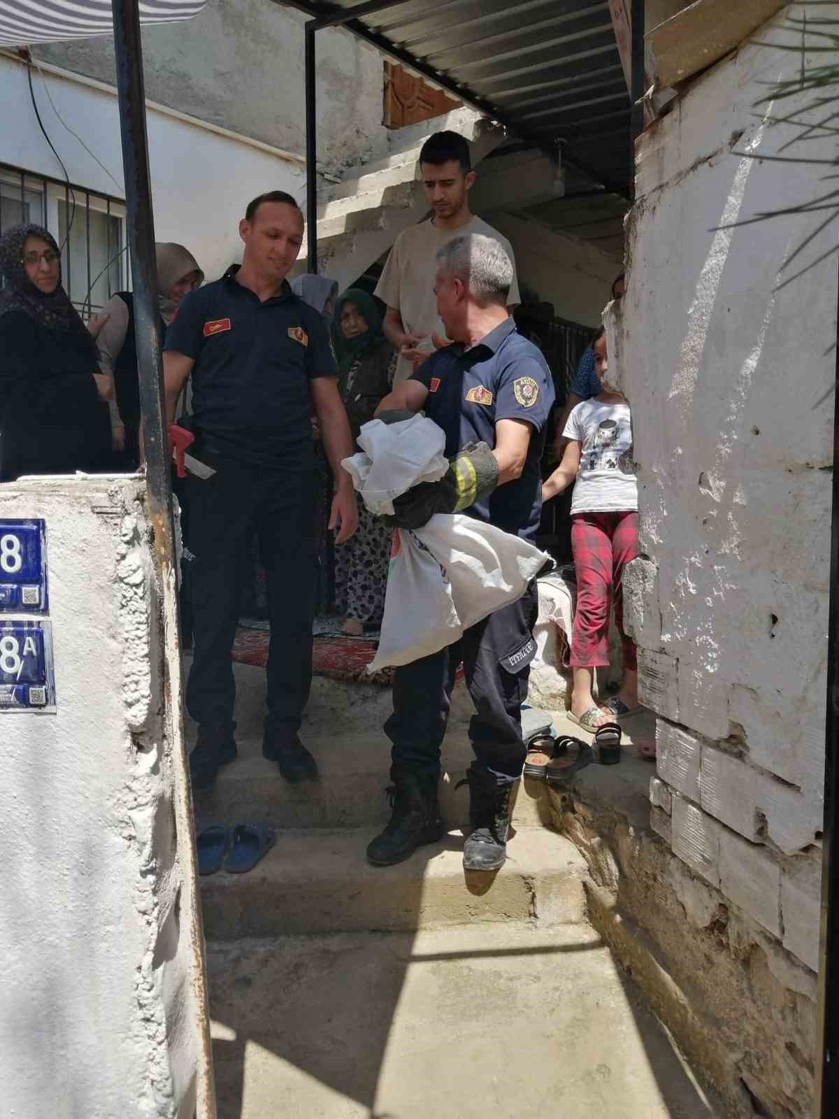 Aydın’da itfaiye ekiplerinden yılan operasyonu