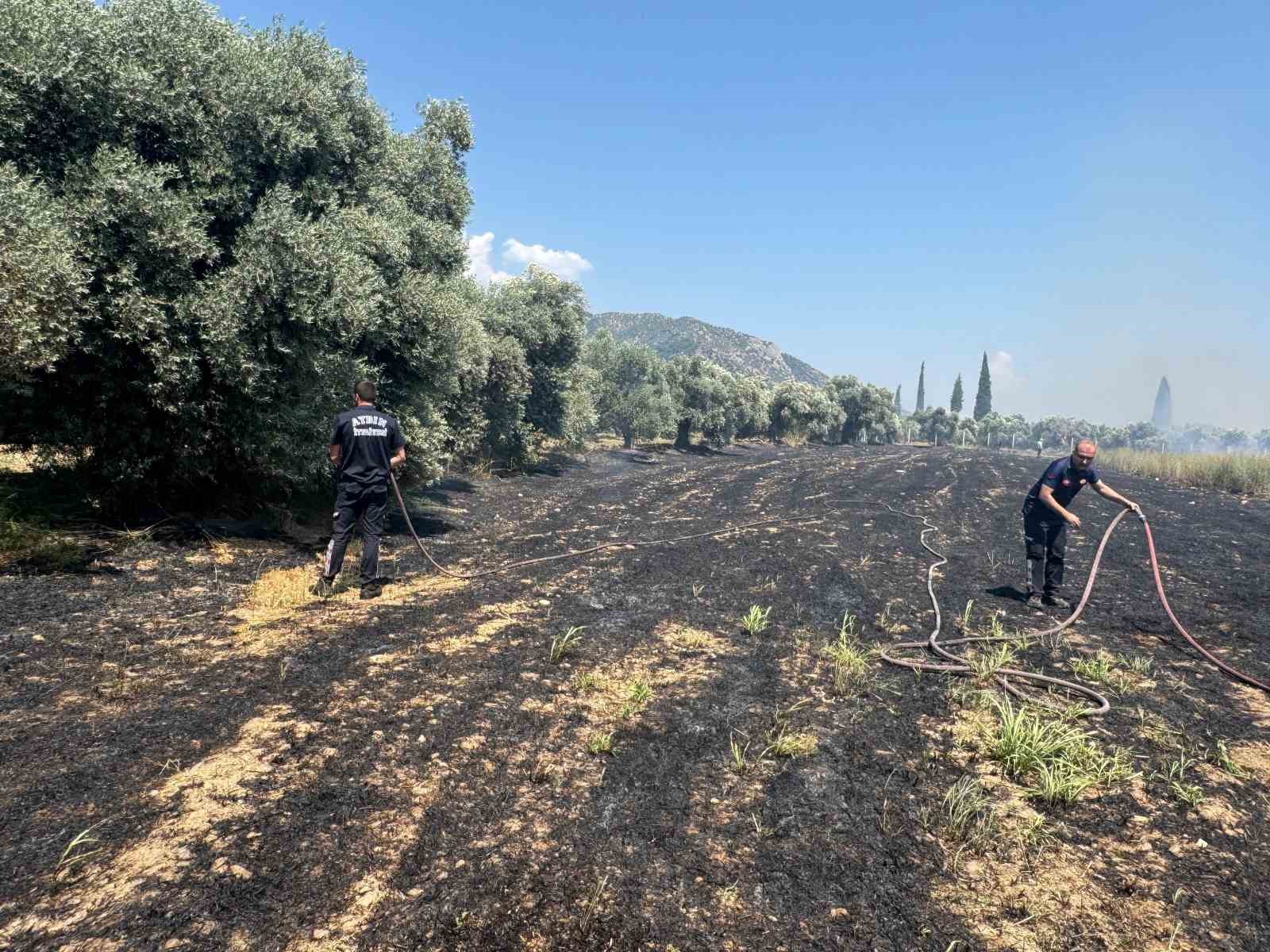 İncirliova’da zirai alanda çıkan yangın söndürüldü