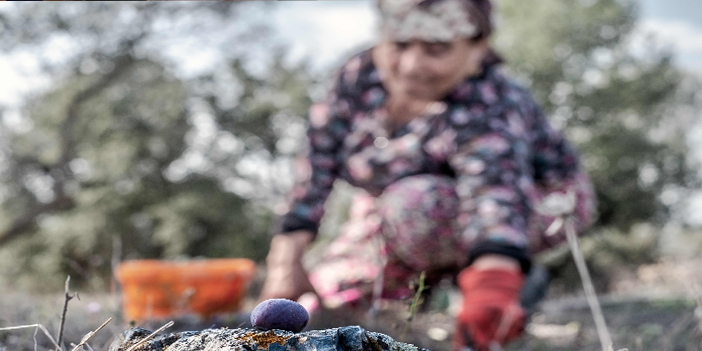 Kuraklığa ve Açlığa Büyük Adım Yasası Genel Kurul’da
