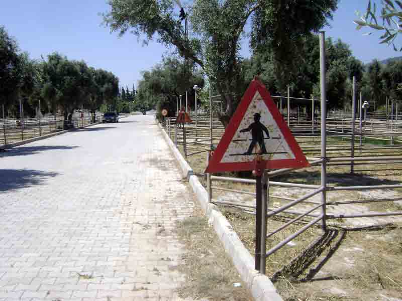 Hayvan Pazarı sürücü kursları eğitim alanı oldu