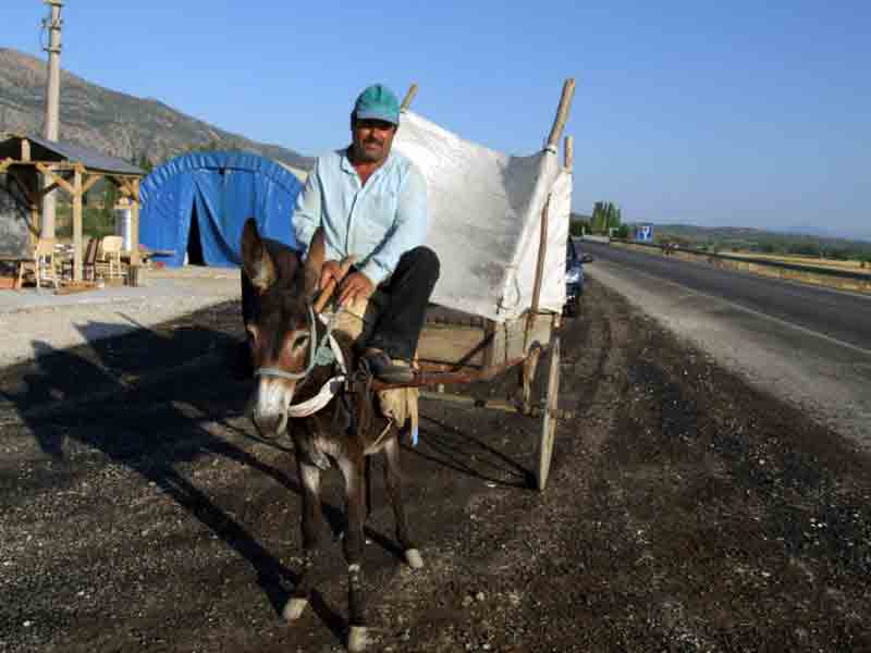 Mazota yapılan zam bir tek onu etkilemiyor!