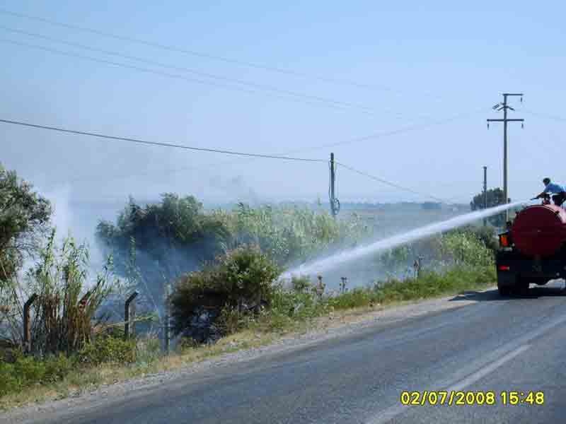 Zeytinlikte çıkan yangın büyümeden söndürüldü