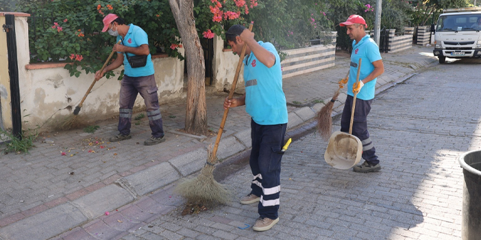 EFELER’İN MAHALLELERİNDE TEMİZLİK SEFERBERLİĞİ DEVAM EDİYOR