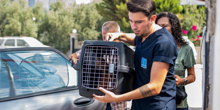 KEDİ KISIRLAŞTIRMA MERKEZİ’NE İLGİ HER GEÇEN GÜN ARTIYOR