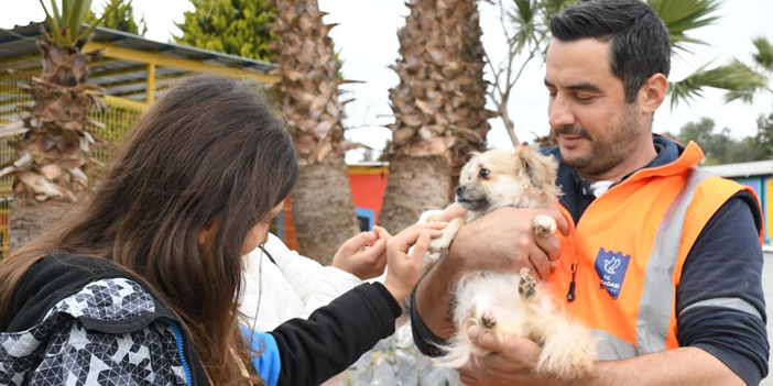 KUŞADASI’NDA 195 CAN DOST YENİ YUVASINA KAVUŞTU!