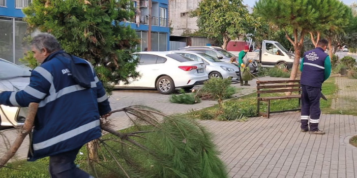 EFELER’İN YEŞİL EKİPLERİ BUDAMA ÇALIŞMALARINA DEVAM EDİYOR