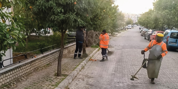 EFELER’İN EKİPLERİ ÇALIŞIYOR KENTİN YEŞİL ALANLARI PIRIL PIRIL OLUYOR