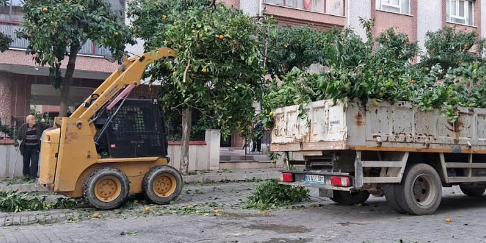 EFELER’İN EKİPLERİ DAHA YEŞİL BİR KENT İÇİN ÇALIŞIYOR