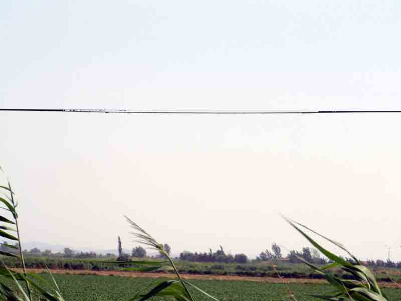 Yol kenarına atılan sigara izmariti iletişim hattına zarar verdi