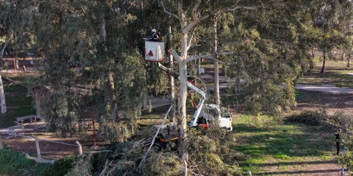 EFELER’İN EKİPLERİ TEPECİK MESİRE ALANI’NDA