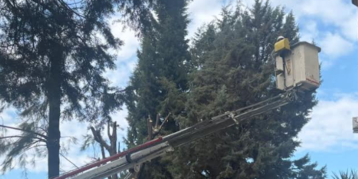 BUDAMA ÇALIŞMALARI SÜRÜYOR