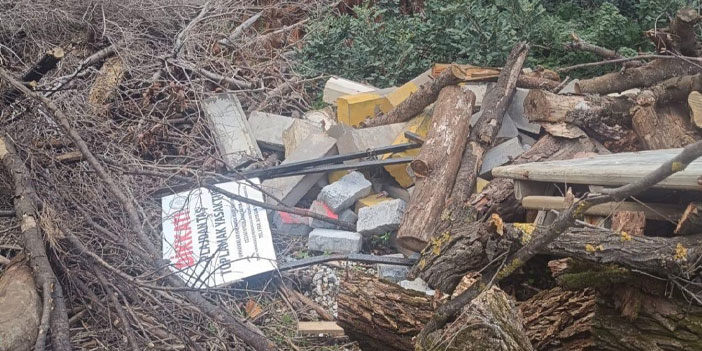 MİLLİ PARKTA NELER OLUYOR?