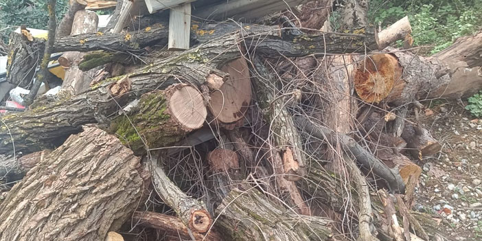 Kuşadası Milli Parklar da Genel Müdür Adına Korsan Açıklama Krizi