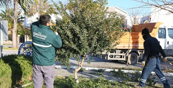 KUŞADASI BELEDİYESİ’NDEN BAKIM HAMLESİ: UZUN SÜREDİR İHMAL EDİLEN PARKLAR YENİLENİYOR