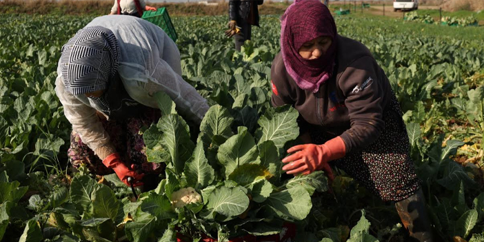 EFELER’İN BAŞROLÜNDE KADIN VAR BAŞKAN ANIL YETİŞKİN İLE AYDINLIK YARINLARA