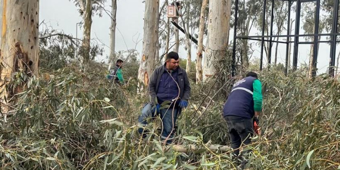 EFELER’DE GÜVENLİ YEŞİL ALAN SEFERBERLİĞİ TEPECİK MESİRE ALANI YENİLENİYOR