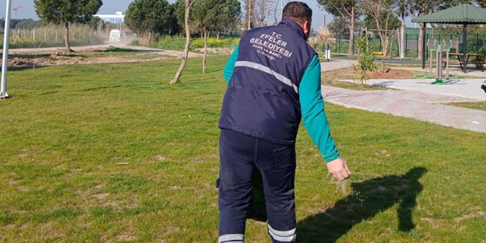 EFELER’İN YENİ SOSYAL ALANI ŞEKİLLENİYOR