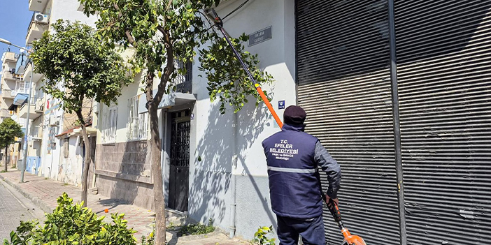 EFELER’İN TARİHİ MİRASI BAŞKAN YETİŞKİN İLE KORUNUYOR